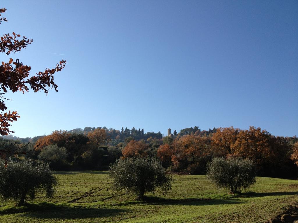 Podere Schioppello Casale Con Appartamenti Privati Cibottola Exterior photo